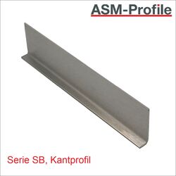 Titel Bild Sockelleiste SB