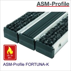 Eingangsmatte Fortuna-K