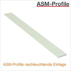 neuchleuchtende_Einlage neuchleuchtende_Einlage