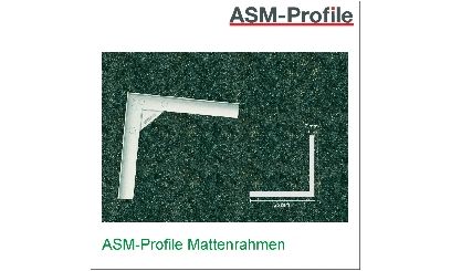 ASM-Profile Eingangsmatten Rahmen
