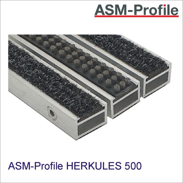 Eingangsmatte HERKULES 500