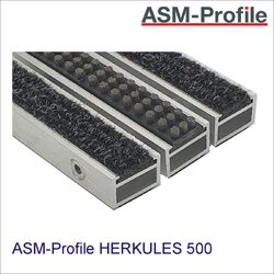 Eingangsmatte Herkules 500