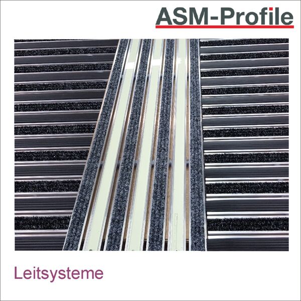 Taktiles Eingangsmattensystem